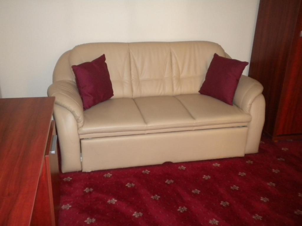 Hotel Ary Cluj-Napoca Rom bilde